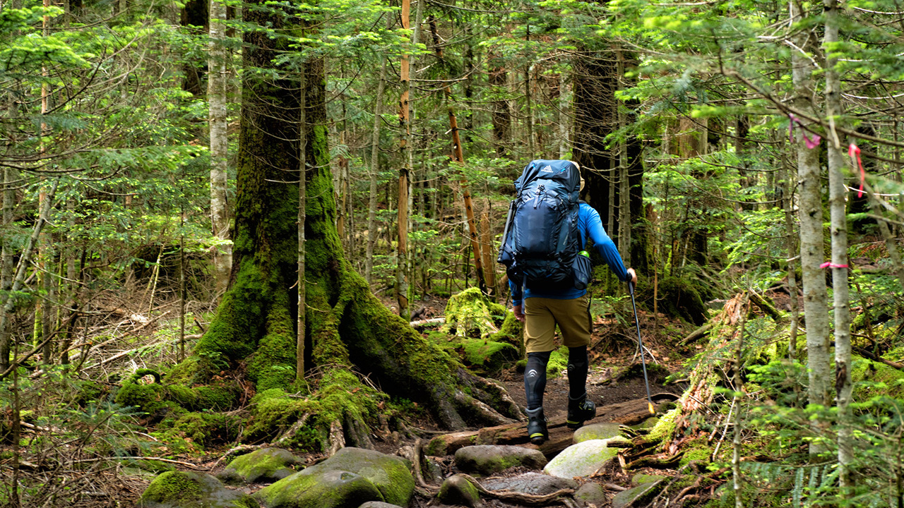 登山で疲れない歩き方!?ナンバ歩きのススメ！