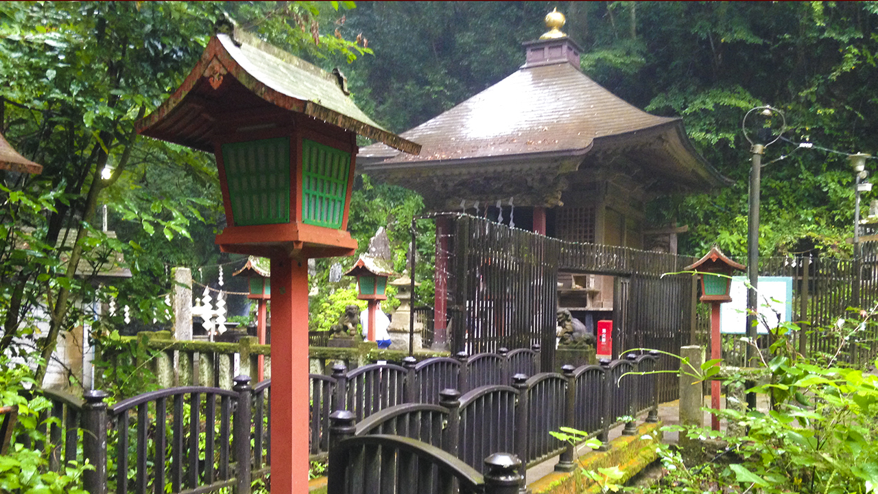 はじめての登山といえば高尾山?紅葉を見に行ってきました