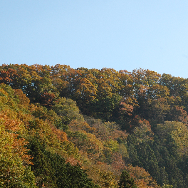 高尾山の山麓
