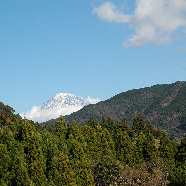 浜石岳から富士山