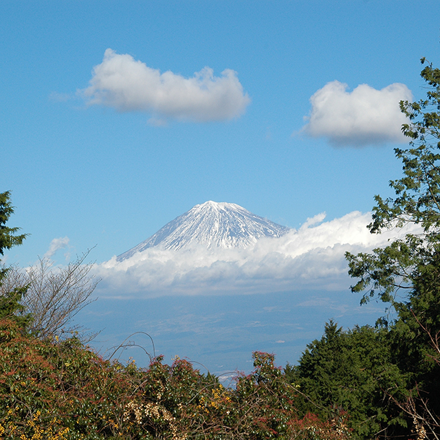 浜石岳から富士山