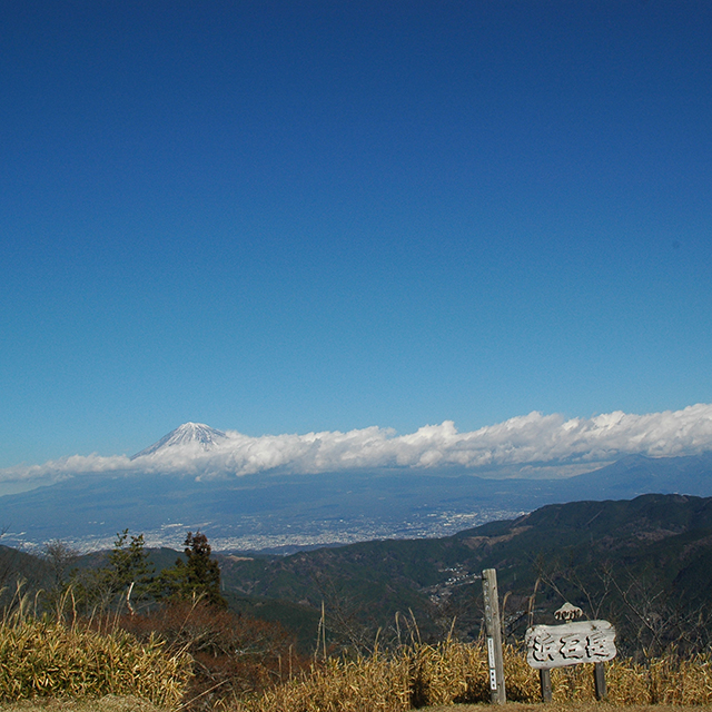 見えましたよきれいな富士山が