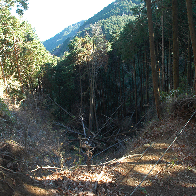 道が陥落している浜石岳