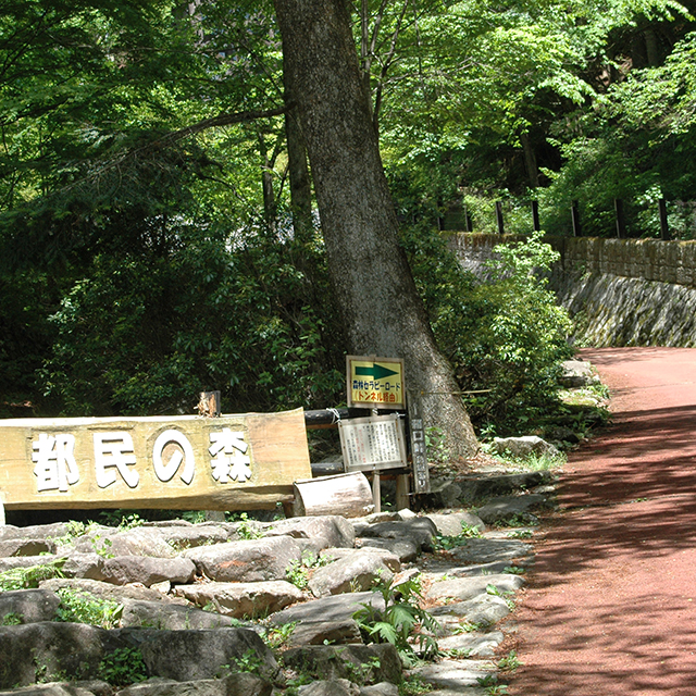 都民の森入り口