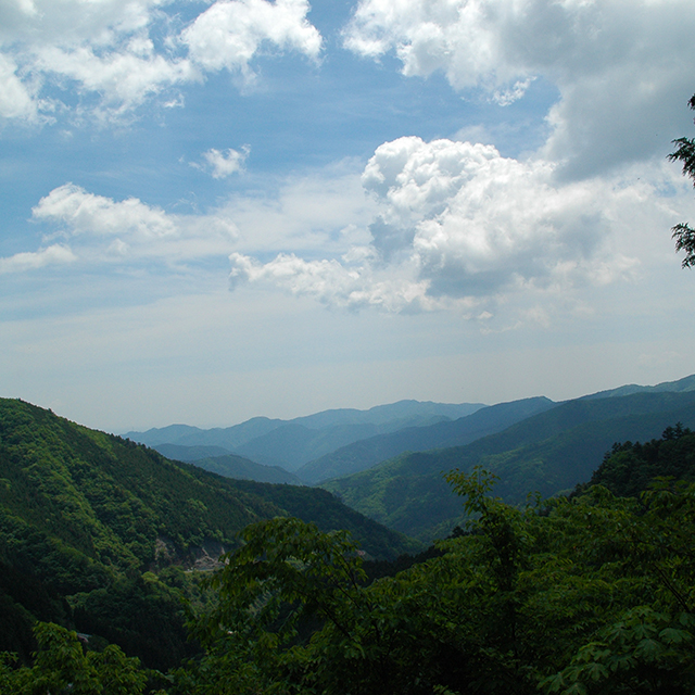 三頭山風景