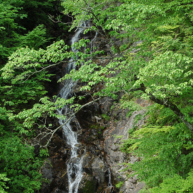 三頭山大滝