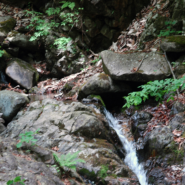 三頭山川辺
