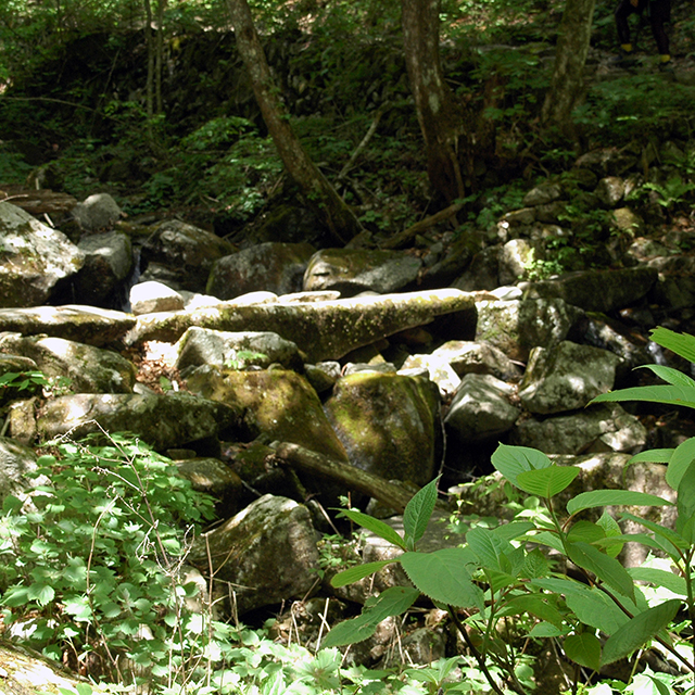 三頭山川辺の登山道