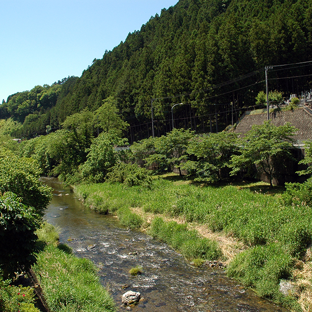名栗橋からの風景