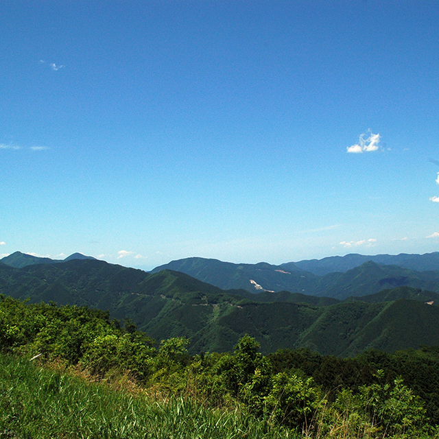 棒ノ折山山頂