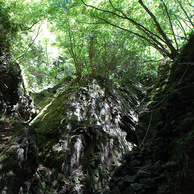 棒ノ折山鎖場
