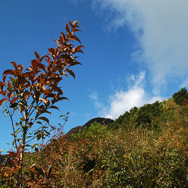 金時山、紅葉の葉っぱをフレームに空を撮る