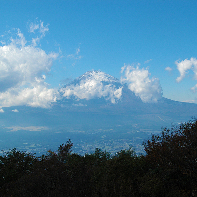 金時山山頂から富士山を望む