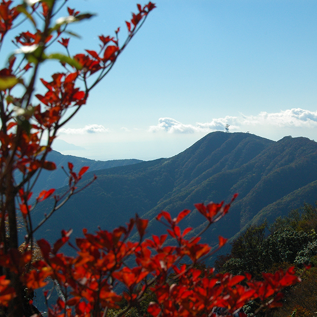 秋の金時山、紅葉をフレームに稜線を撮る