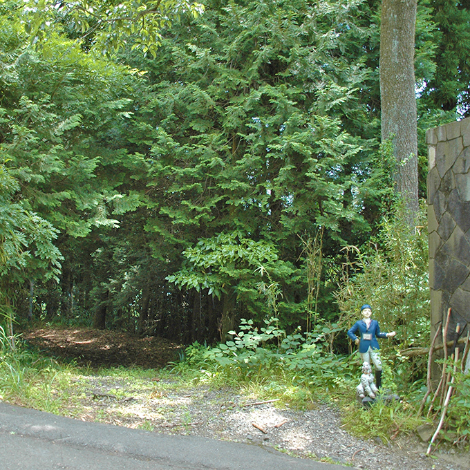 塔ノ岳登山口
