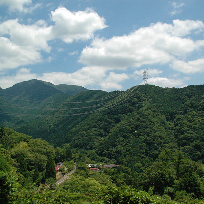 塔ノ岳景色