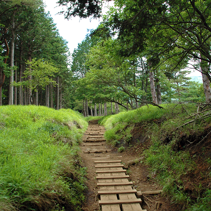 塔ノ岳登山道