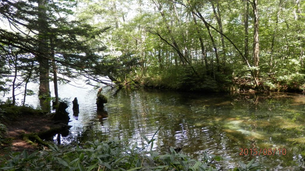 穂高岳を臨む