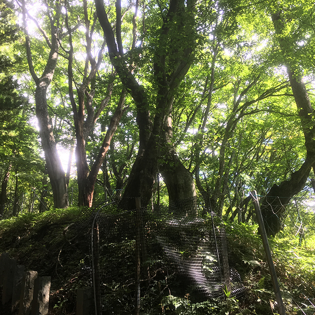 男体山登山道