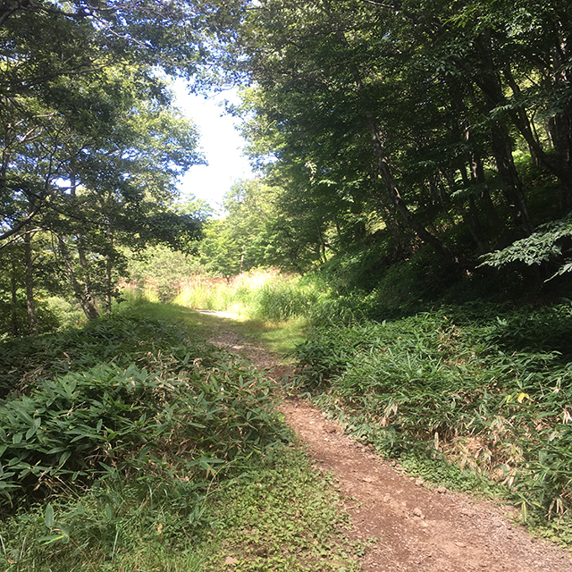 男体山登山道