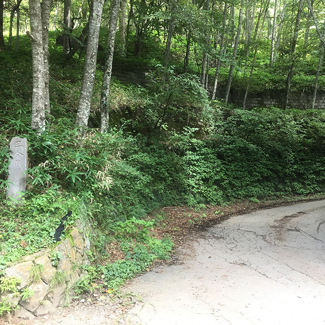 男体山3合目からは舗装された道に出る