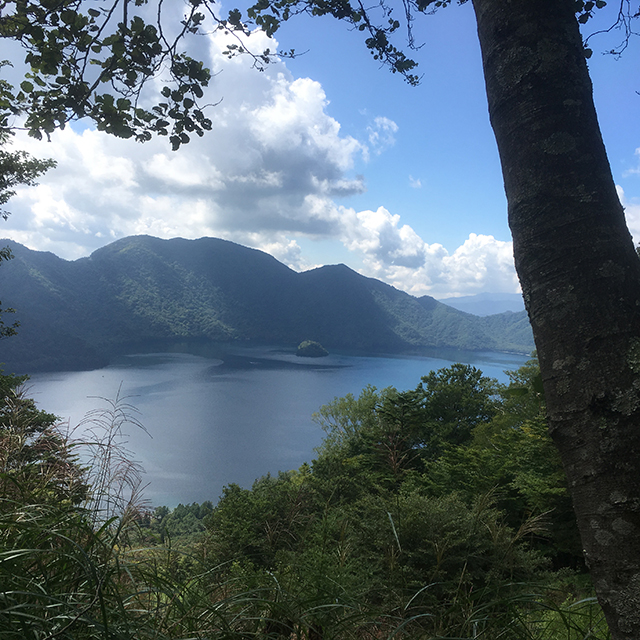 ふと視線を向けるとそこには中禅寺湖