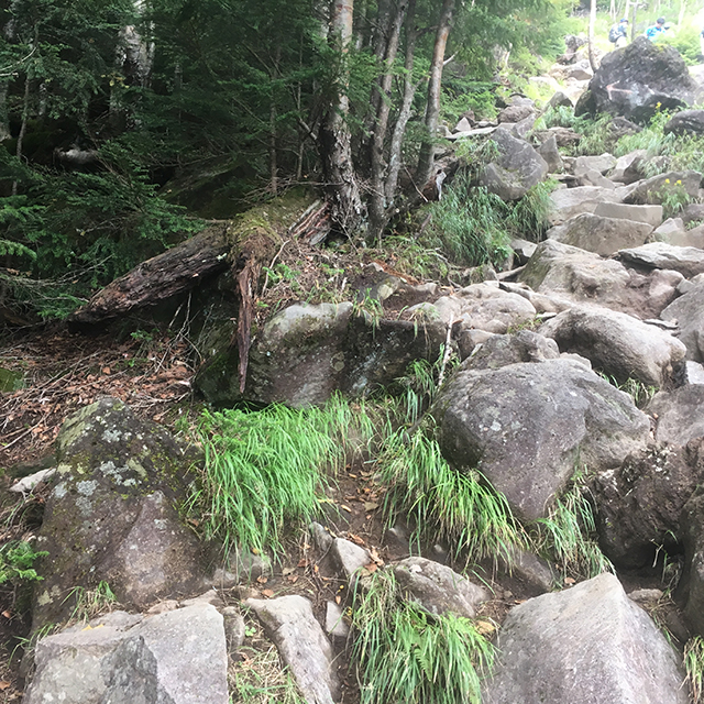 何体zんの登山道急激に岩場