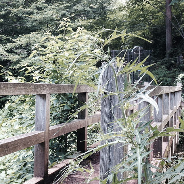 三つ峠登山口