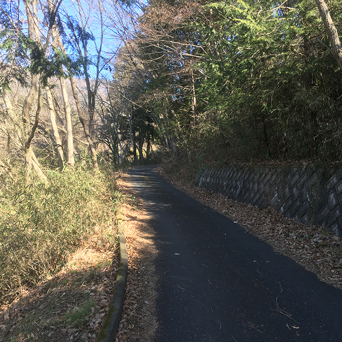 扇山への道