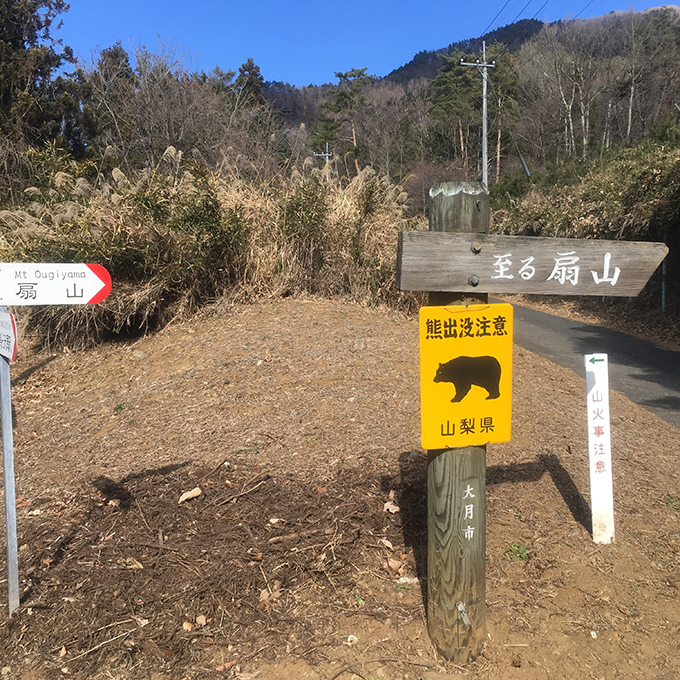 扇山への道