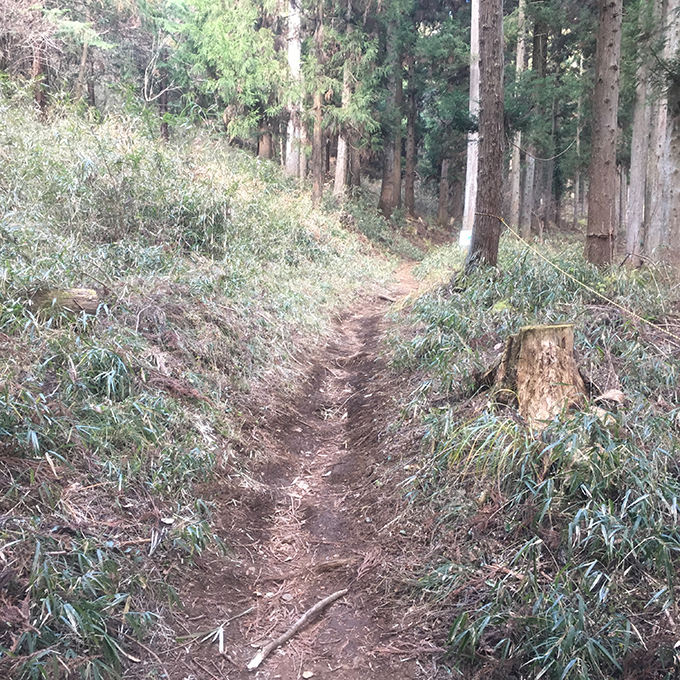 扇山登山道