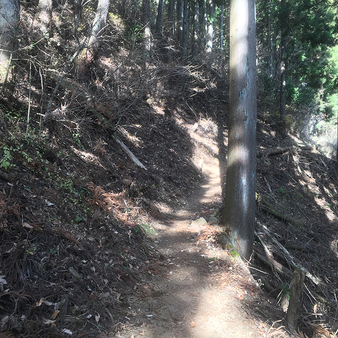 扇山登山道