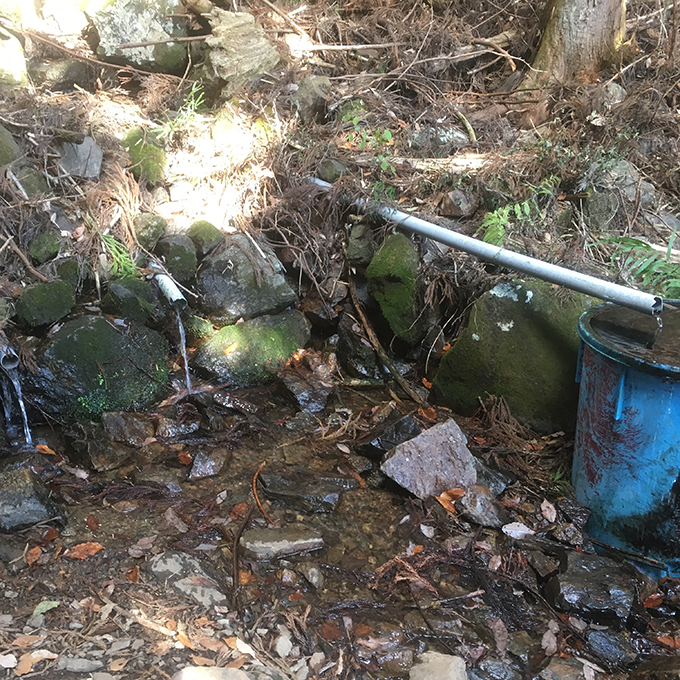 苦労するところもなく、水場に