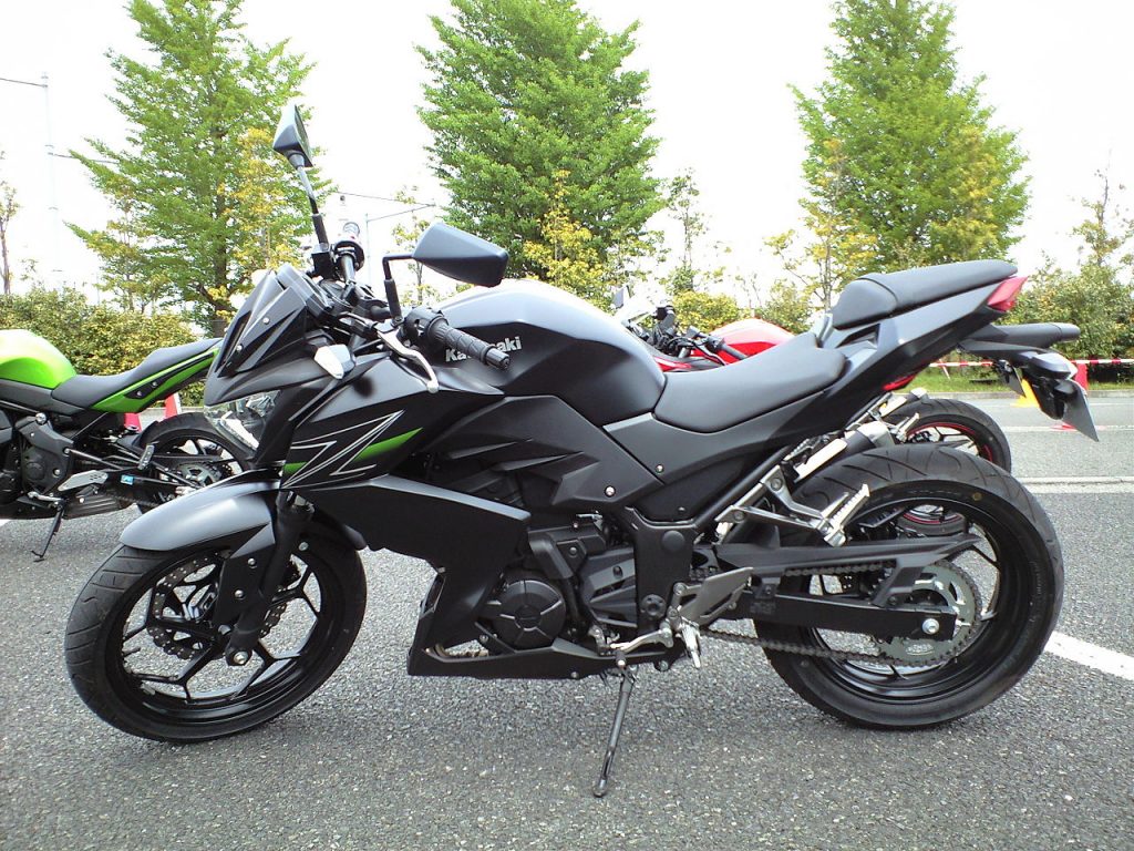 Z250