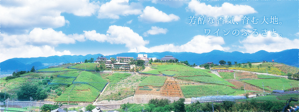 天空の湯