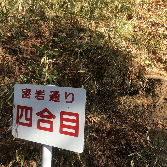 岩櫃山4合目