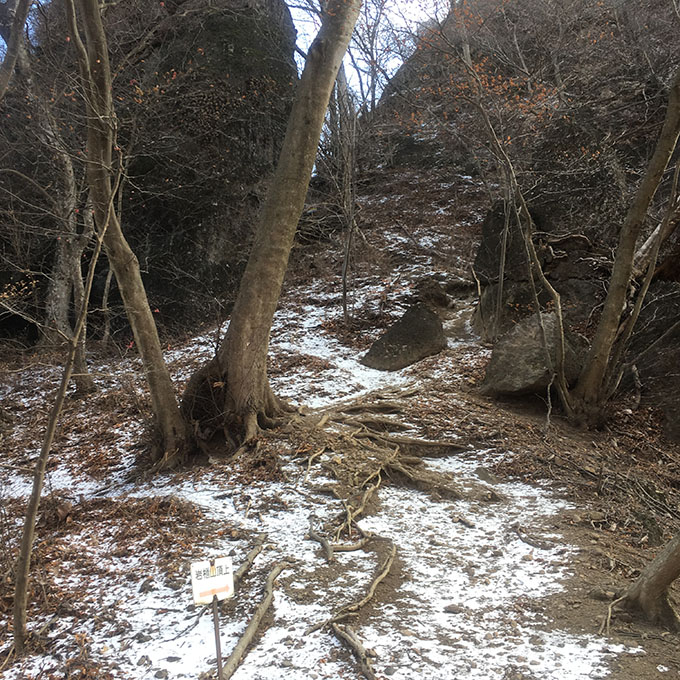 雪の残る岩櫃山