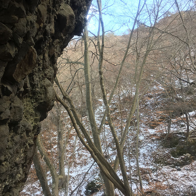 岩櫃山の崖