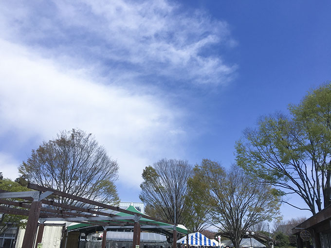 ろまんちっく村