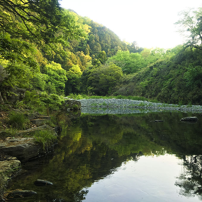 月川荘の嵐山渓谷 