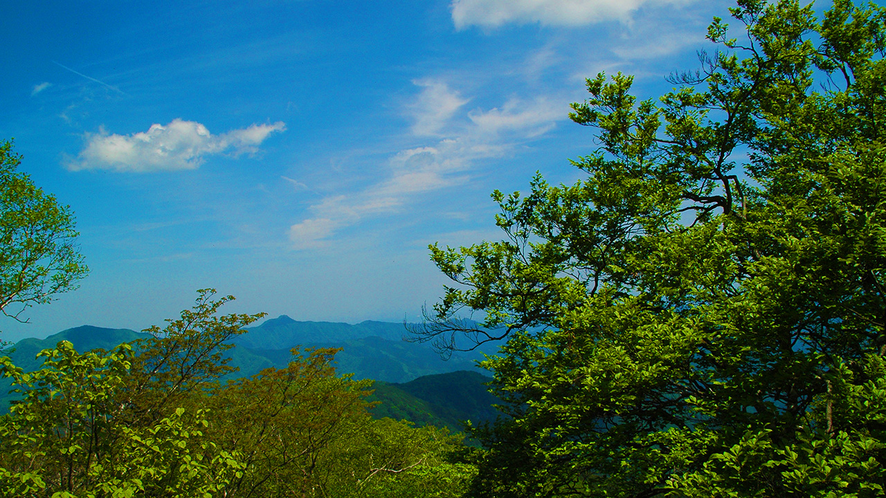 ホリデー快速で初心者でもいける三頭山へ