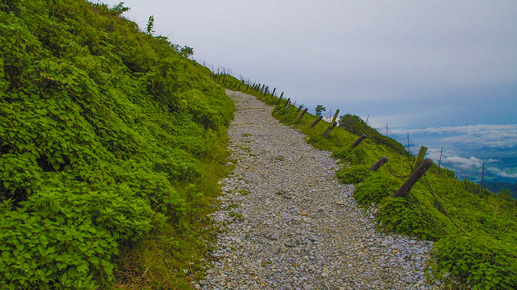 伊吹山の登山道