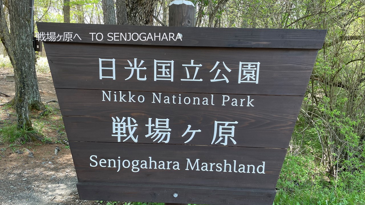 戦場ヶ原