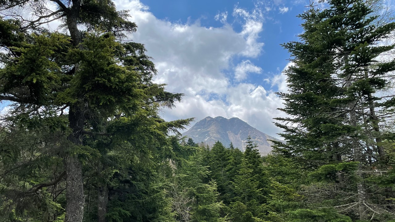 日光白根山