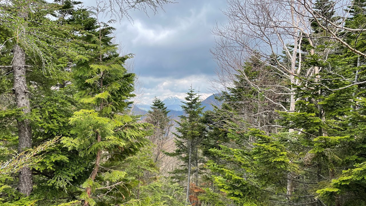 日光白根山
